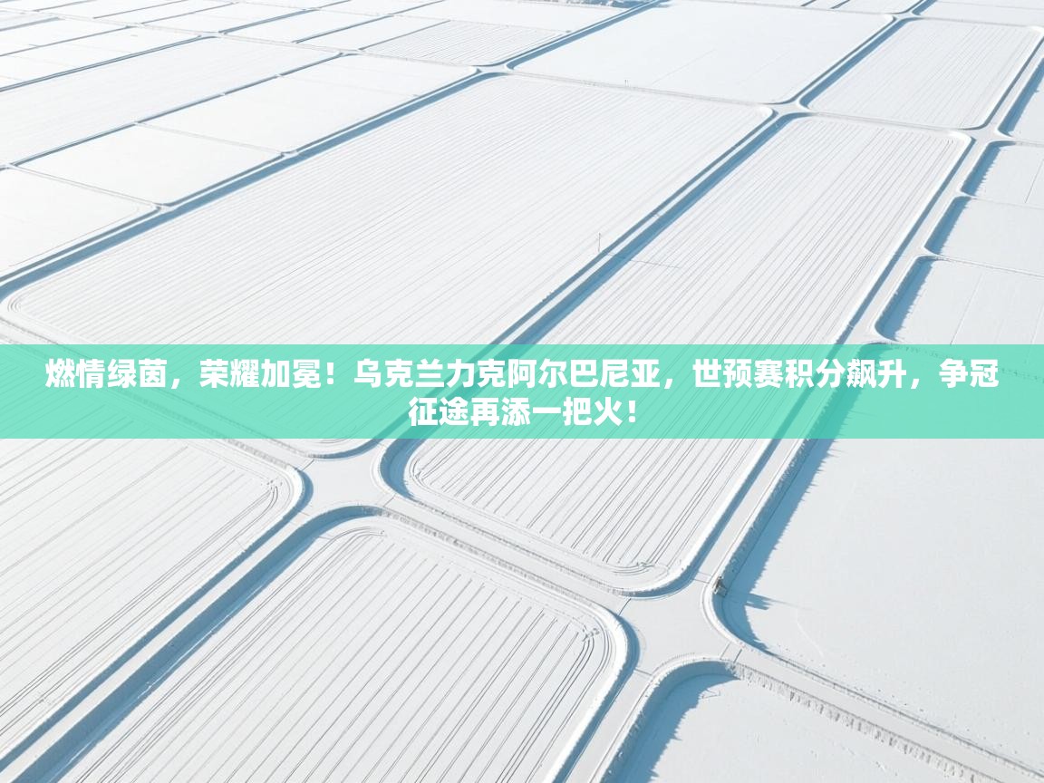 燃情绿茵，荣耀加冕！乌克兰力克阿尔巴尼亚，世预赛积分飙升，争冠征途再添一把火！  第2张