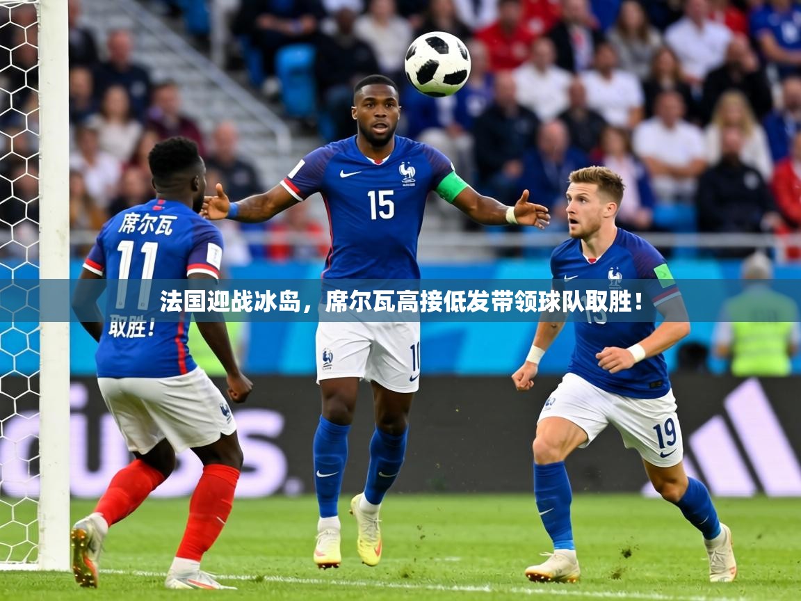 法国迎战冰岛，席尔瓦高接低发带领球队取胜！  第2张