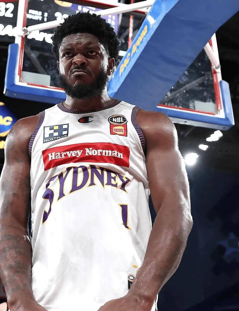 球队历经波折，最终夺得冠军