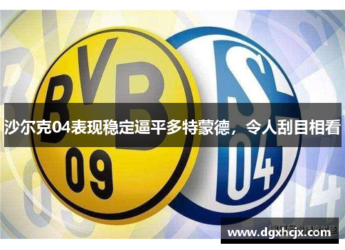 爱游戏官网网页版入口-沙尔克04连续五轮失利，陷入低谷